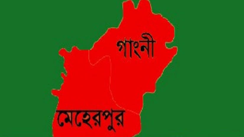 গাংনীতে নির্বাচনী সহিংসতায় নিহত