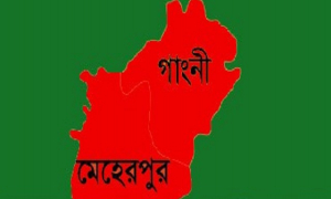 গাংনীতে নির্বাচনী সহিংসতায় নিহত ২