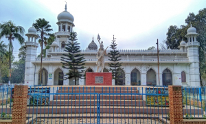 ১০৫ বছরে পর্দাপণ করলো কারমাইকেল কলেজ