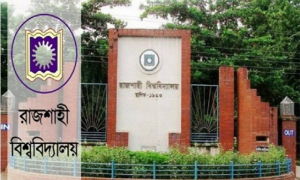 রাবিতে ট্রেনে কাটা পড়ে কলেজছাত্রের মৃত্যু