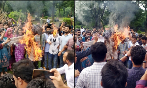 জাবিতে  বিএনপি নেতা আলালের কুশপুতুল দাহ