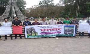 চবিতে বন্যহাতি হত্যার প্রতিবাদে মানববন্ধন