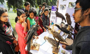 জাবিতে পাখি মেলা ৭ জানুয়ারি