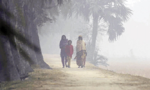 আজ থেকে বাড়তে পারে শীত