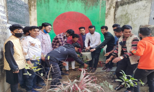 প্রতিষ্ঠাবার্ষিকী উপলক্ষে কবি নজরুল কলেজে ছাত্রলীগের বৃক্ষরোপণ