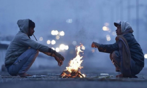 বাড়তে পারে শীত, রোদের দেখা মিলবে যেদিন