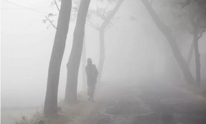 বাংলাদেশে ‘ফগ অ্যালার্ট’ জারি, এই সতর্কতার অর্থ কী?