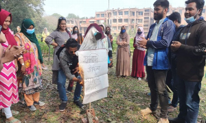 জাবিতে অধ্যাপক ফরিদের কুশপুত্তলিকা দাহ