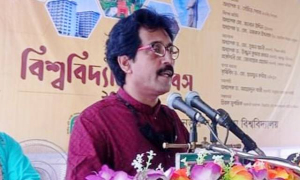 সার্টিফিকেট নিয়ে সরকারের সঙ্গে একমত নজরুল বিশ্ববিদ্যালয়: ভিসি