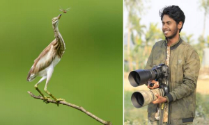 শখের বসেই ছবি তোলা, এখন ওয়াইল্ড লাইফ ফটোগ্রাফার জবি ছাত্র মুন হৃদয়