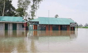 জামালপুরে ৪৬ টি প্রাথমিক বিদ্যালয় বন্ধ ঘোষণা 