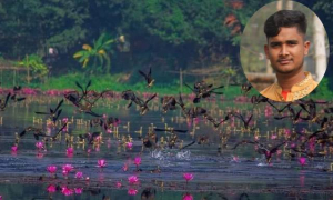 জাহাঙ্গীরনগর বিশ্ববিদ্যালয় স্পেশাল হওয়ার ১৭ কারণ