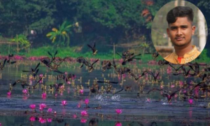 জাহাঙ্গীরনগর বিশ্ববিদ্যালয় স্পেশাল হওয়ার ১০ কারণ