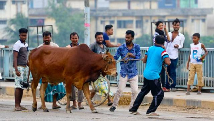 রাত পোহালেই দেশে উদযাপিত হবে মুসলিম ধর্মাবলম্বীদের দ্বিতীয় বৃহৎ উৎসব ঈদুল আজহা