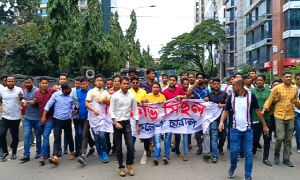 লোডশেডিংয়ের প্রতিবাদে ছাত্রদলের বিক্ষোভ মিছিল