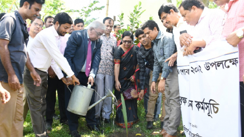 বৃক্ষরোপণ কর্মসূচি