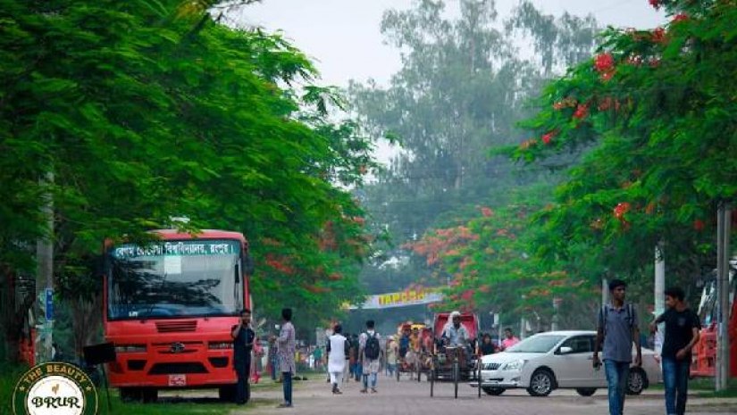 বেগম রোকেয়া বিশ্ববিদ্যালয় জ্বালানি 