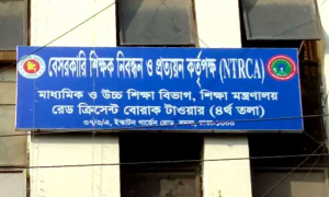 শিক্ষক নিবন্ধন পরীক্ষা: উত্তীর্ণের সংখ্যায় এগিয়ে ১০ম নিবন্ধনধারীরা