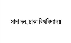 গবেষণা ভাতা পুনর্বহালসহ ৭ দফা বাস্তবায়নের দাবি বিএনপিপন্থী ঢাবি শিক্ষকদের