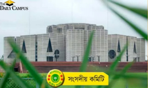 পিএসসিতে সদস্য বাড়িয়ে ২০ জন করার সুপারিশ সংসদীয় কমিটির