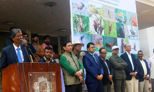 পাখির প্রতি সকলকে দায়িত্বশীল হতে হবে: জাবি উপাচার্য