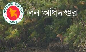 ১০৬ পদে নিয়োগ দেবে বন বিভাগ, আবেদন করুন ঘরে বসেই