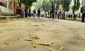 তিন ঋতুর পরিক্রমায় ঝরতে শুরু করে গাছের বিবর্ণ পাতা 