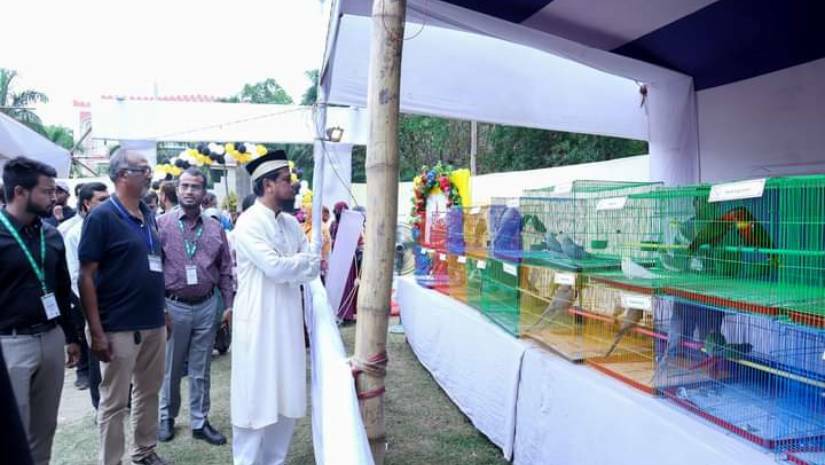 আইআইইউসিতে কবুতর-বিড়াল-কুকুর-খরগোশ প্রদর্শনী