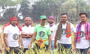 ধান কেটে ঘরে তুলে দিল ঢাকা মহানগর উত্তর ছাত্রলীগ