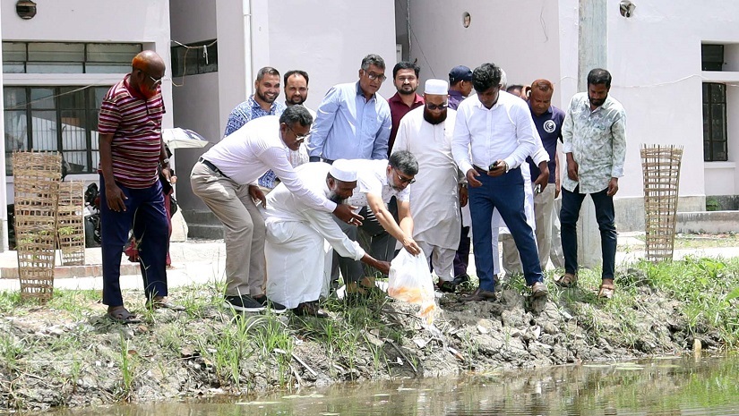 খুবির লেকে ছাড়া হয়েছে সৌন্দর্যবর্ধক কৈ-কার্প মাছ