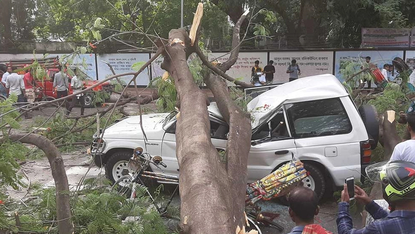 ভেঙে পড়েছে গাছ