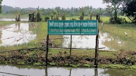 নবীজির নামে বিশ্ববিদ্যালয়, অনুমোদনের জন্য ইউজিসিতে আবেদন!