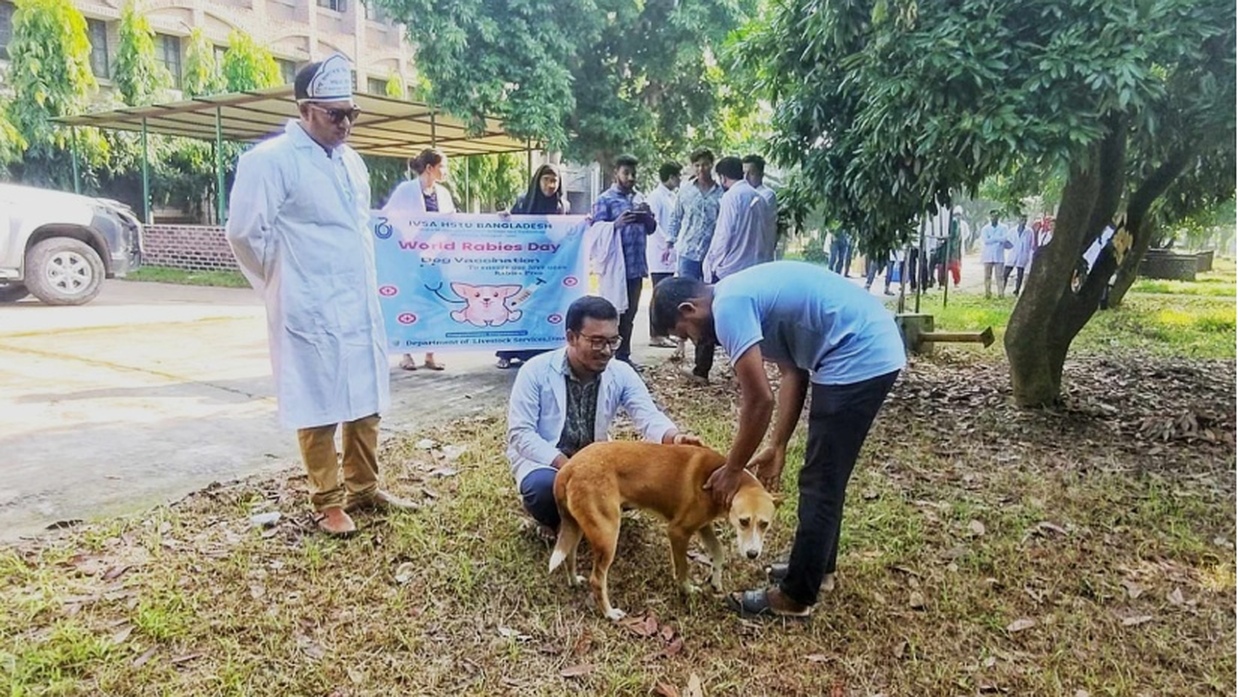 ভ্যাকসিন দেওয়া হচ্ছে কুকুরকে 