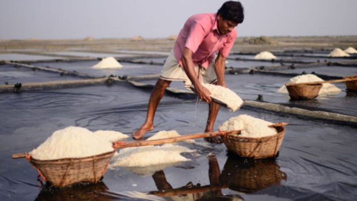 উৎপাদিত লবণ সংগ্রহ করছেন এক চাষি