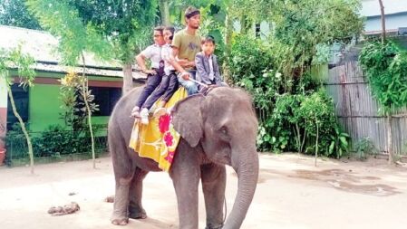 ভাগনে-ভাগনির পরীক্ষা শেষের আনন্দে হাতি নিয়ে হাজির মামা