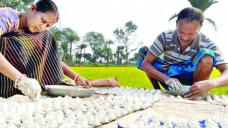 সাতক্ষীরায় শীতকালীন সুস্বাদু কুমড়ার বড়ি তৈরির ধুম