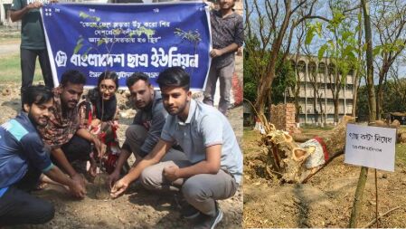 গাছ কেটে বৈশাখী মঞ্চ নির্মাণ, ইবি ছাত্র ইউনিয়নের অভিনব প্রতিবাদ