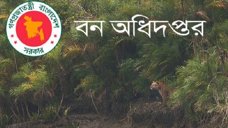 বন অধিদপ্তরে ফরেস্টার পদে চাকরির সুযোগ, নেবে ৭৮ জন 