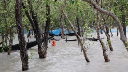 ঘূর্ণিঝড় রেমালের প্রভাবে ৭ জনের মৃত্যু