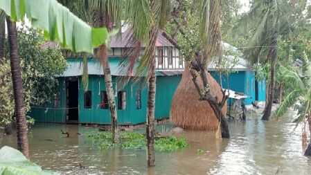 দেড় কোটি পরিবারে বিদ্যুৎ সরবরাহ বন্ধ, সাড়ে ৮ হাজার মোবাইল টাওয়ারে নেটওয়ার্ক নেই