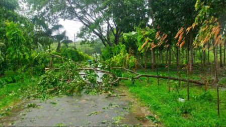 রেমালের তাণ্ডবে নিহত বেড়ে ১০, ৩৫ হাজার ঘরবাড়ি বিধ্বস্ত