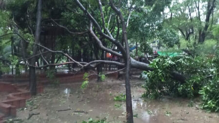 বৃষ্টিতে ঢাবি ক্যাম্পাসে জলাবদ্ধতা, বিদ্যুৎবিহীন অনেক হল