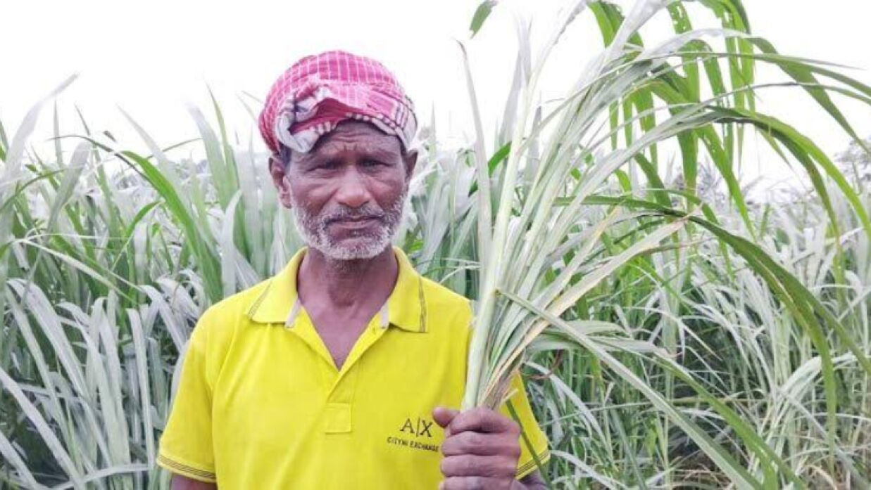 গফুর মিয়া