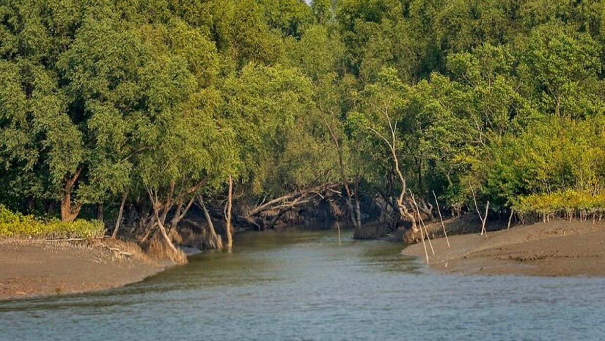 সুন্দরবন