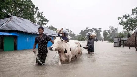 বন্যায় ক্ষতিগ্রস্ত ১৪ লাখ কৃষক, ৩ হাজার ৩৪৬ কোটি টাকার ক্ষতি