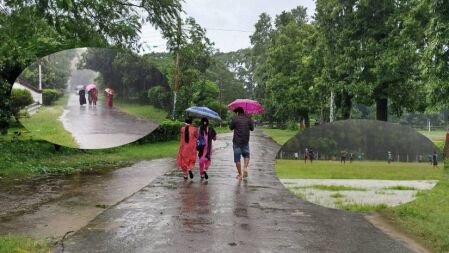 বৃষ্টিস্নাত মনোমুগ্ধকর ইসলামী বিশ্ববিদ্যালয়