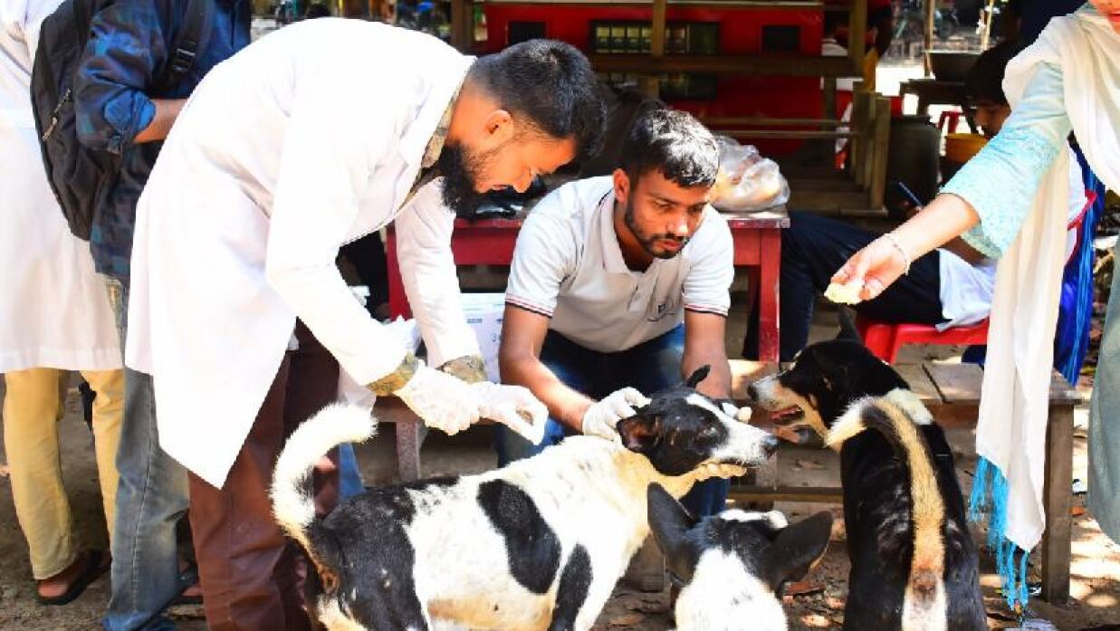 রাবি ক্যাম্পাসকে দেশের প্রথম র‍্যাবিসমুক্ত ক্যাম্পাস ঘোষণা