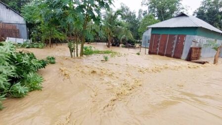 টানা বর্ষণ আর ভারত থেকে আসা ঢলে শেরপুরে শতাধিক গ্রাম প্লাবিত