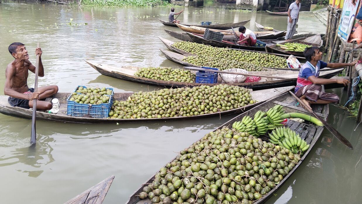 ভিমরুলী গ্রামের এই ভাসমান হাটে প্রতিদিন নৌকায় করে আমড়া বেচাকেনা চলে