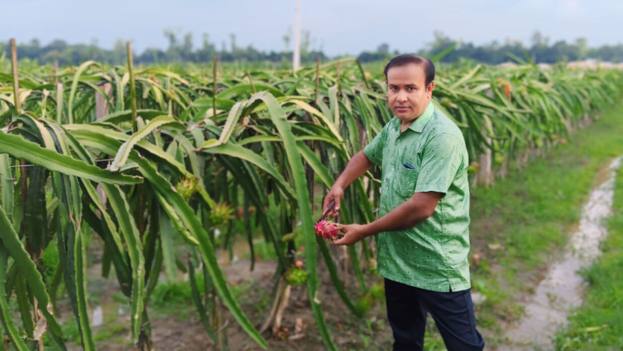 নিজের ড্রাগনবাগানে শাহাবুদ্দীন মণ্ডল